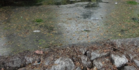 Descargas Rio Ferreira