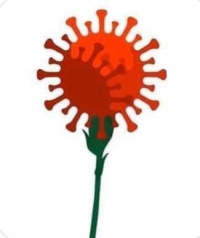 Imagem ilustrada de coronavírus a despoletar de um cravo vermelho