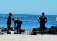 Descarga praia das Salinas