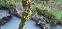 Rio Mau